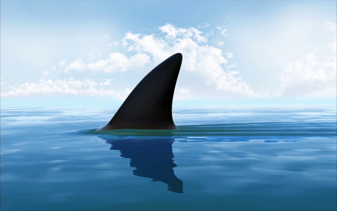 Why Risk Messaging Is Risky: Lessons from a Shark Attack